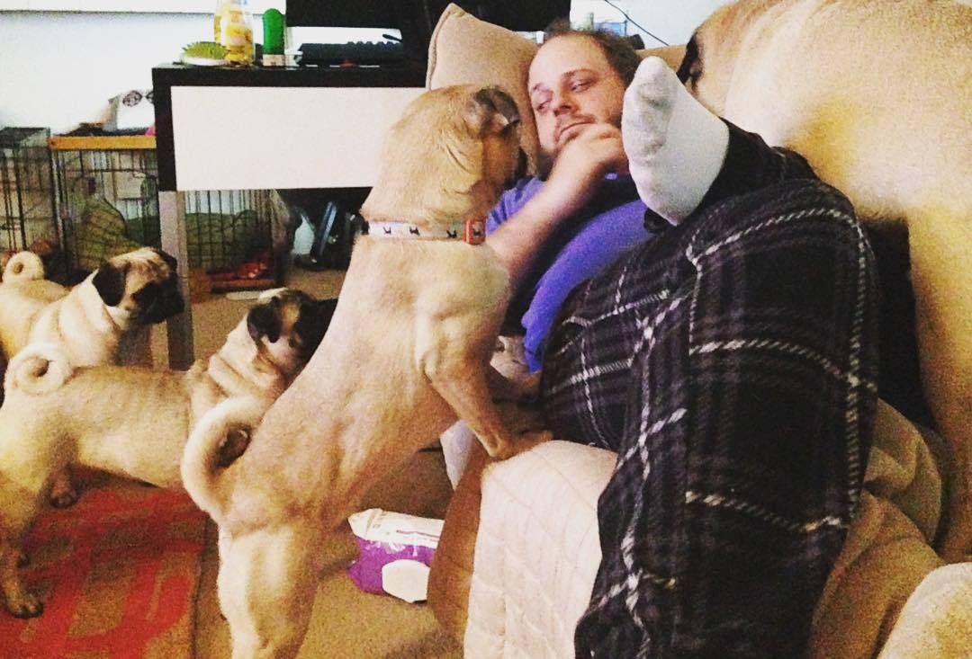 ihugpugs:  Dog Lover Shirts: http://bit.ly/1sIvs6I