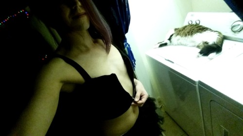Laundry day with my kitty, Viserion.