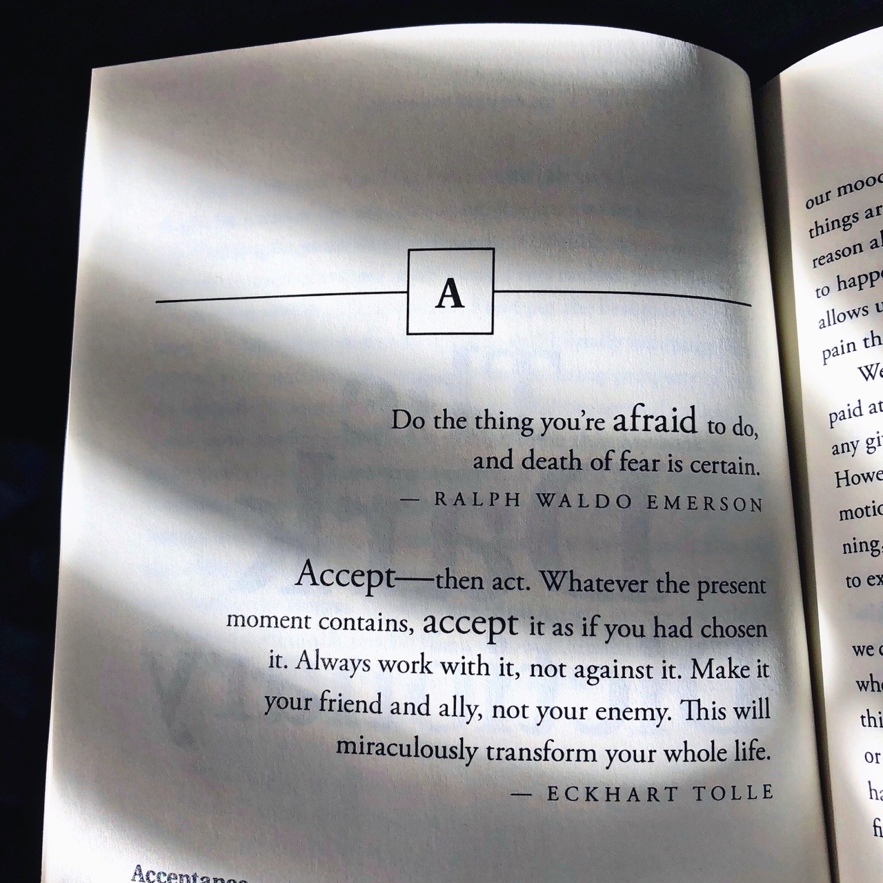 andrewwrichard: A page from my book The Dark Dictionary, available now: • Archway