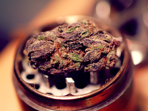 weedorz:  Like & Reblog if you like ! :3Follow if you want more ! http://weedorz.tumblr.comAll weed fan are welcome :)