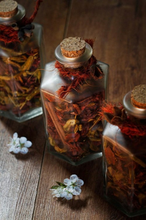 grace-hollow-doll:Essence of autumn