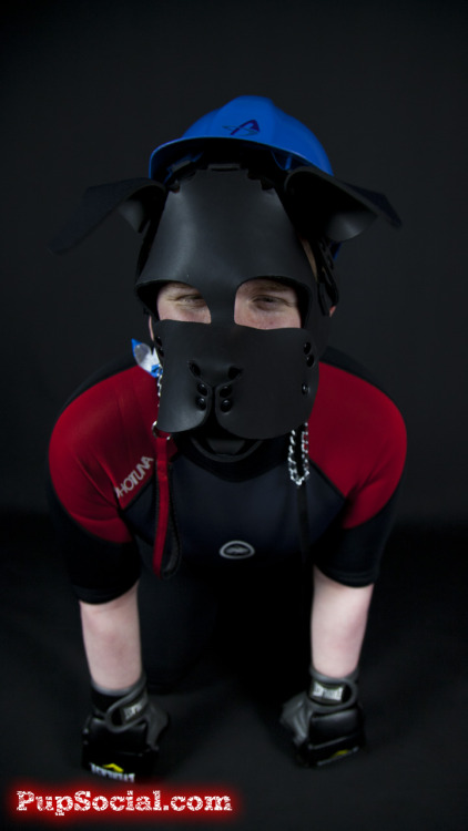 pupsocial:  @flyingasadragon (Pup Halvor) taken at Pup Social 3.2 For info on the next Pup Social event, visit pupsocial.com *wags* 