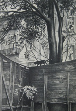 70rgasm:   Mabel Dwight, Backyard, 1938