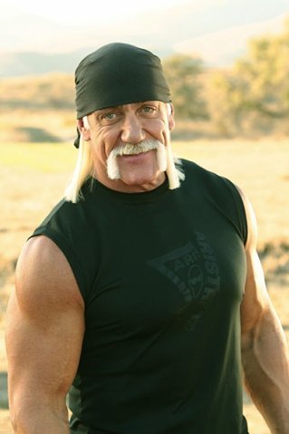  Hulk Hogan