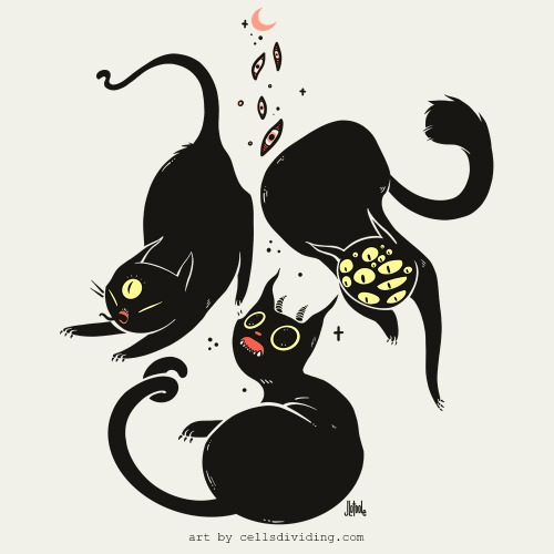 Some cultures believe that black cats are good luck. They were honored in ancient Egypt because of t