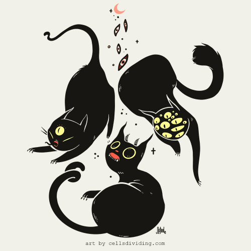  Some black cats.