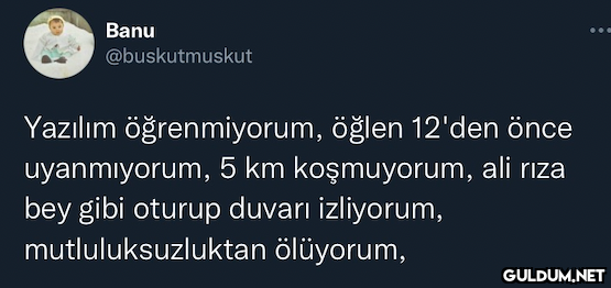 Banu @buskutmuskut Yazılım...