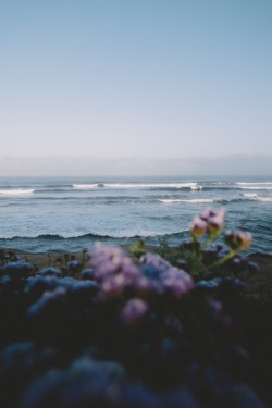 dominiclstarley:  Sunset Cliffs, San Diego