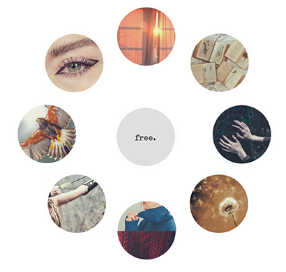 comprehensive moodboard for rona » harris hawk daemon, entj, 7w6, lawful good, ranger, witch o