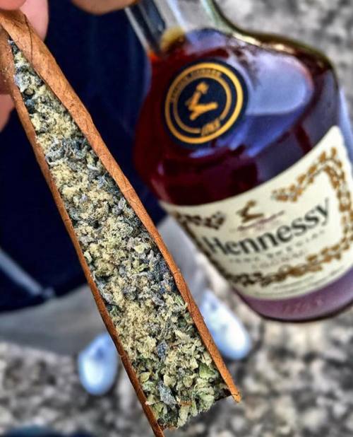 http://blowmelikekushhh.tumblr.com/post/140595141424