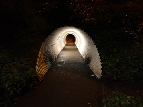 #365daysofbiking Going underground:Tuesday January 19th 2021 – After the stress and drain of the day