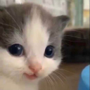nisaaaaaaaaaaaaaaa