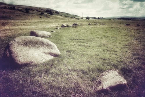 Gamelands Stone Circle, Cumbria, 11.8.18.A sizeable recumbent circle on the edge of farmed land with