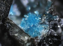 bijoux-et-mineraux:  Caledonite - Menez-Plom,