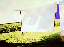bottomdiluc:  Impala + season one scenery. 