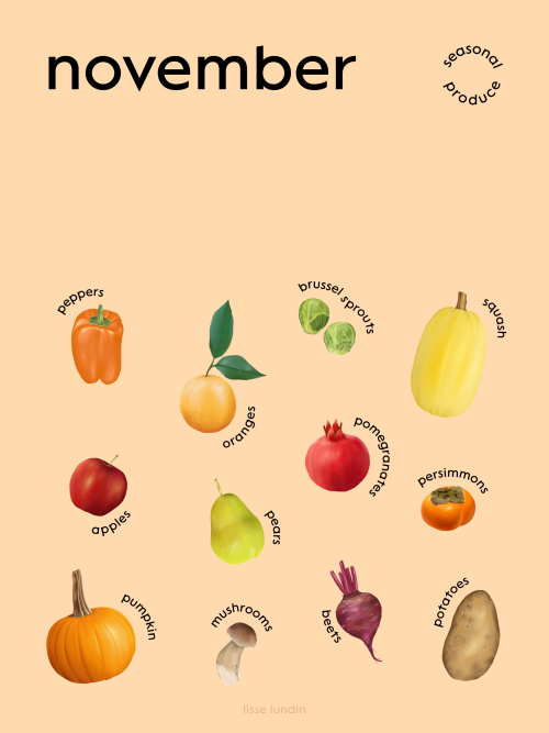 November seasonal produce 