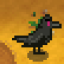 crowsandriddles2electricboogaloo