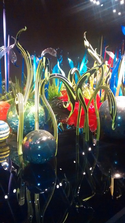 Just loved these glass sculptures guys!! Look at these colors!! 8D