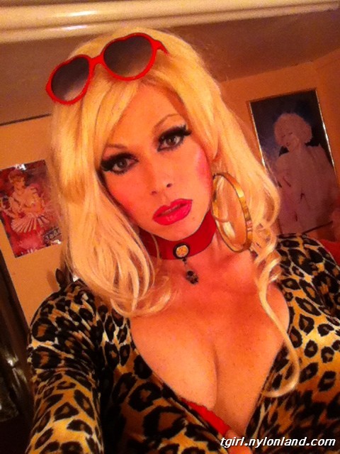 mmmmmtrannys:  More lovely shemales!!www.tgirl.nylonland.com