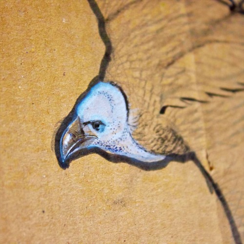 A gryphon vulture, drawn on a piece of cardboard out of the recycling bin. No reference. For fun. #o