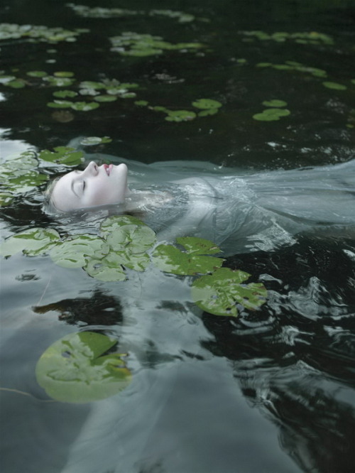 Tantriclens - Choices of a Female Photographer