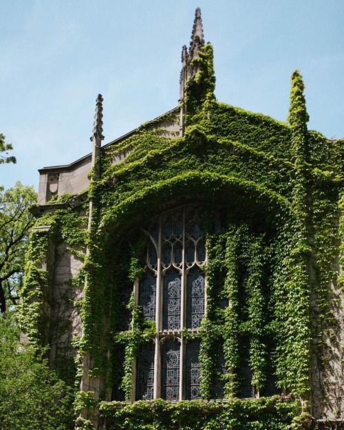University of Chicago 3/5 #ivyleague #uofchicago (at The University of Chicago)