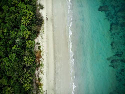 World’s oldest rainforest meets world’s largest barrier reef. Cape Tribulation, Australi