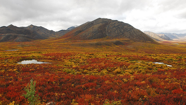 escenasbohemias:  more colours by medwards67 on Flickr.