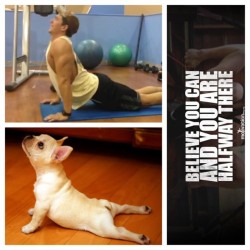 Lolz #upperdog #yoga #dog #stretch #chest