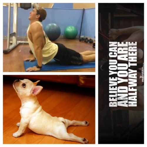 Lolz #upperdog #yoga #dog #stretch #chest #boobz #gym #fitness #train #noideawhatimdoing #picstitch #believe