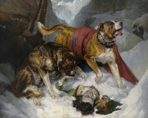 Sir Edwin Henry Landseer - Alpine Mastiffs Reanimating a Distressed Traveler - (1820) en.wiki