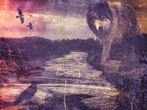 From the series “ Companions Of Odin” - photographic composite artwork derived from my i