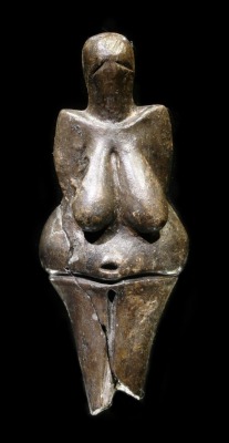 magictransistor:  Venus Figurines from the European Paleolithic Era; c. 25,000-40,000 BCE. Venus of Dolní Věstonice, Venus of Kostenki, Venus of Kostenki (Rear), Venus of Willendorf and The Venus of Hohle Fels. (top to bottom) 