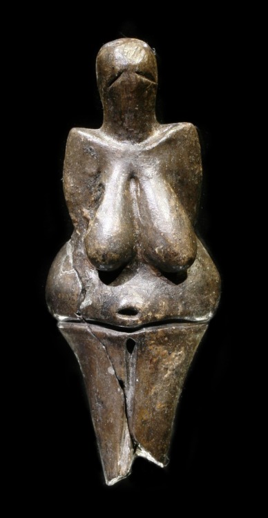 magictransistor:Venus Figurines from the European Paleolithic Era; c. 25,000-40,000 BCE. Venus of Do