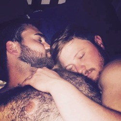 likeabeargin:  Sweet dreams.