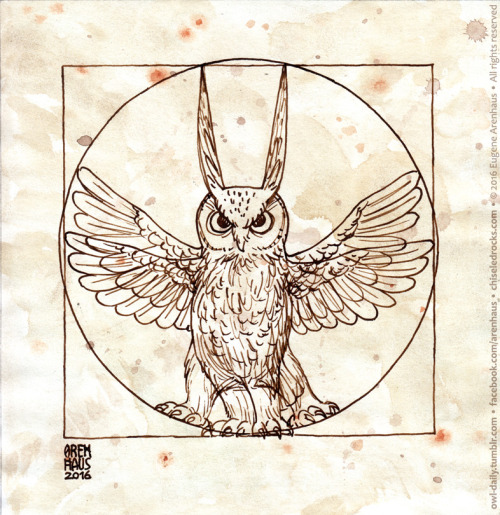 №487: Vitruvian owl.