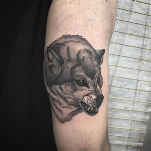Thank you Karan! #wolftattoo #worldofwolves (at Passage Tattoo)