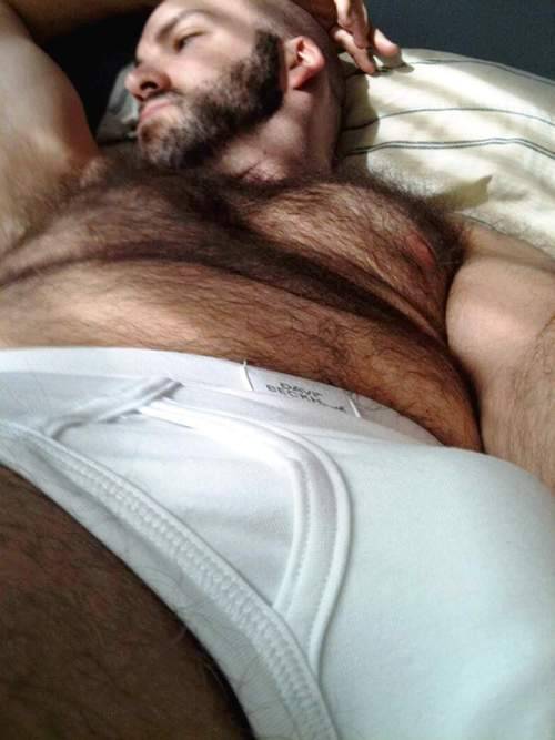 My two hairy men blogs: http://sambrcln.tumblr.com/archive http://hairysex.tumblr.com/archive