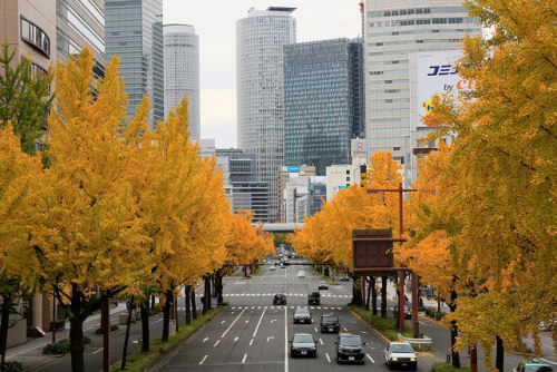 toshibu:Marunouchi,Nagoya,Japan/名古屋・丸の内 by nagatak on Flickr.