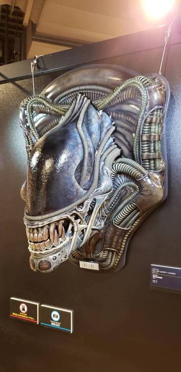 cvltofthepopcvlture: Alien 1/1 scale wall art by Prime 1 Studio Prime 1 Studio Museum event (Marui Y