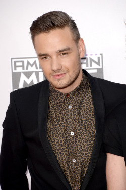 direct-news:  HQ’s - 2014 American Music Awards - Arrivals 