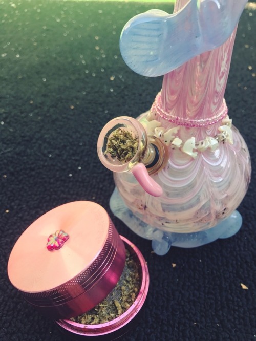 rockdoll: gonna get stoned to watch the eclipse