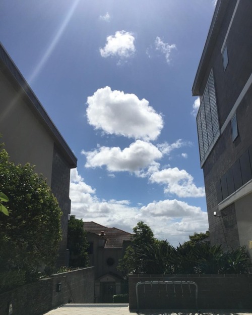 # (at Rozelle, New South Wales, Australia)