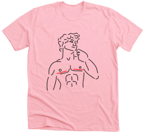 mrbingley: mrbingley: buy my trans david shirt and help me raise money for my top surgery! my surger