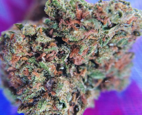 princessdabber:  Blueberry Crack 