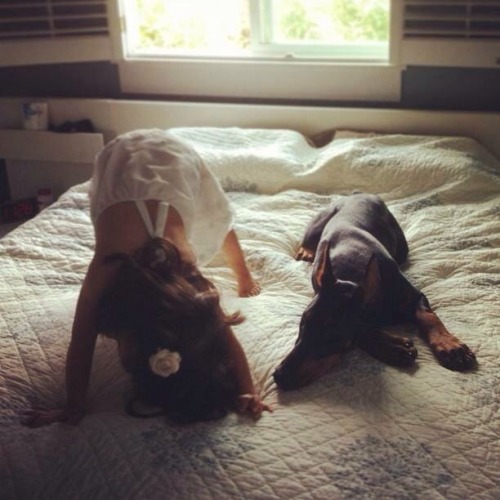 dailydoseofdoberman: Some more cuteness :)