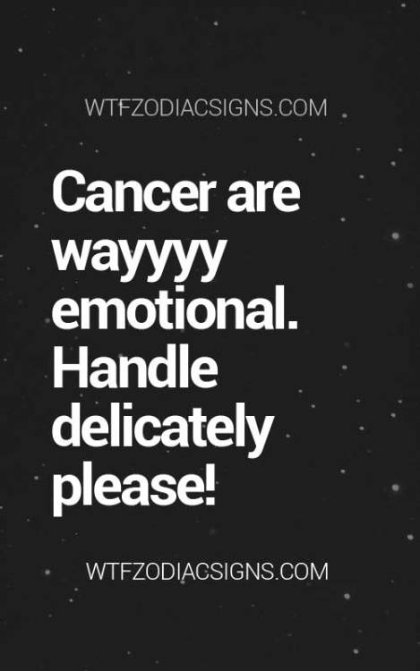 inspiring-pictures:  wtfzodiacsigns:  WTFZodiacSigns.com Daily Horoscope! Pisces, Aquarius, Capricorn, Sagittarius, Scorpio, Libra, Virgo, Leo, Cancer, Gemini, Taurus, and Aries.   Want To See More 12 Zodiac Signs Facts? Visit WTF Zodiac Signs!