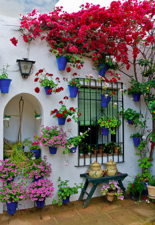 coiour-my-world:Cordoba, Andalusia, ES ~ by Pepe Gil Paradas