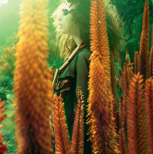 tumblr photo speciesofthedead 0