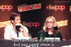 perfectopposite:  David and Gillian make a reference to The Mighty Boosh requested by mrsbartolozzi